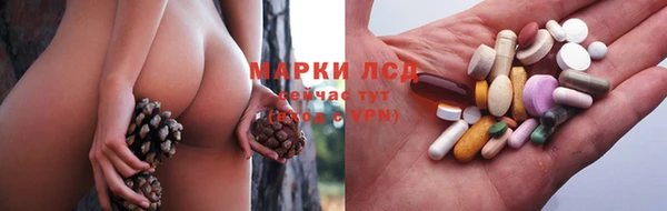 винт Алзамай