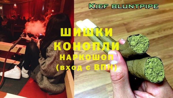винт Алзамай