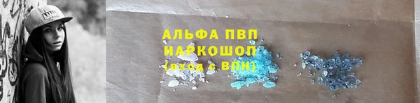 дживик Арсеньев