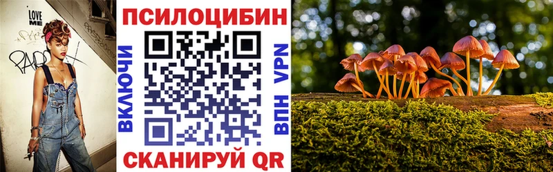 Купить где  Кондопога  Галлюциногенные грибы Cubensis 